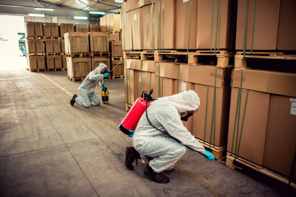 Best Rat Extermination Near Me  in Fort Recovery, OH