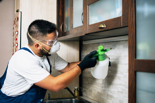 Best Insect Control  in Fort Recovery, OH