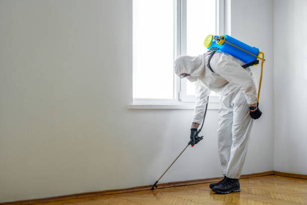 Best Affordable Pest Control Services  in Fort Recovery, OH