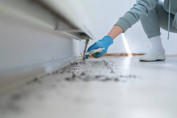 Trusted Fort Recovery, OH Pest Control Experts